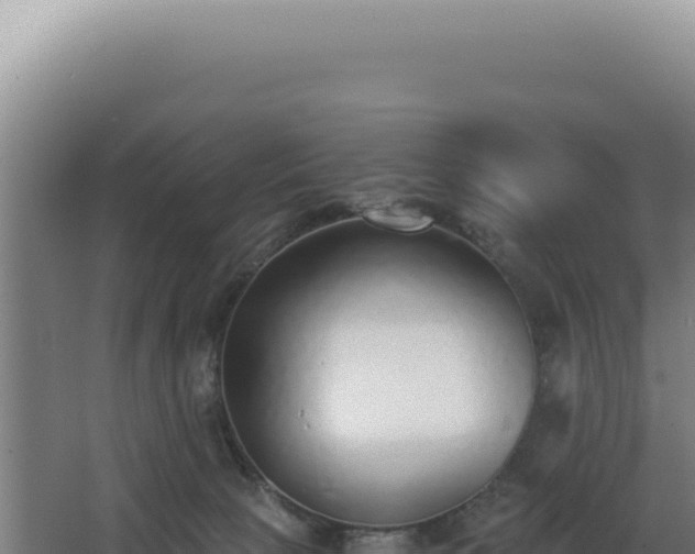 X0000068300081200604281720