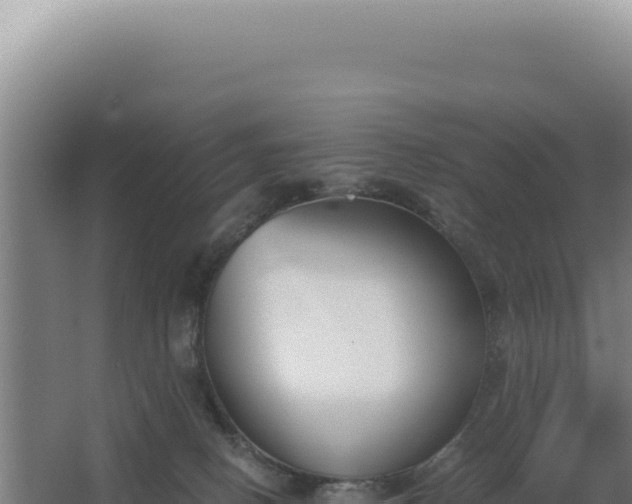 X0000068300082200604281720