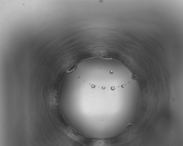 X0000068300083200604281720