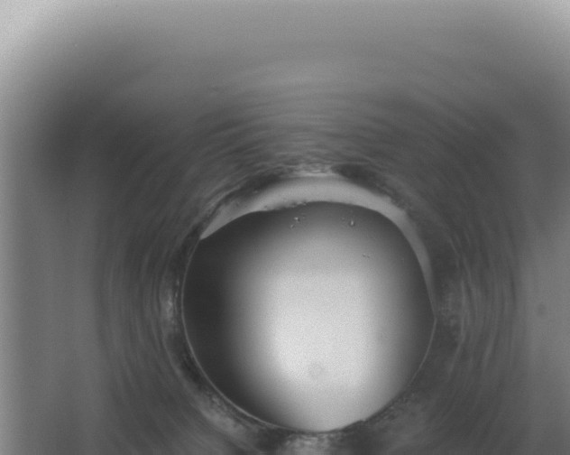 X0000068300084200604281720