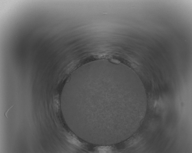 X0000068300085200604281720