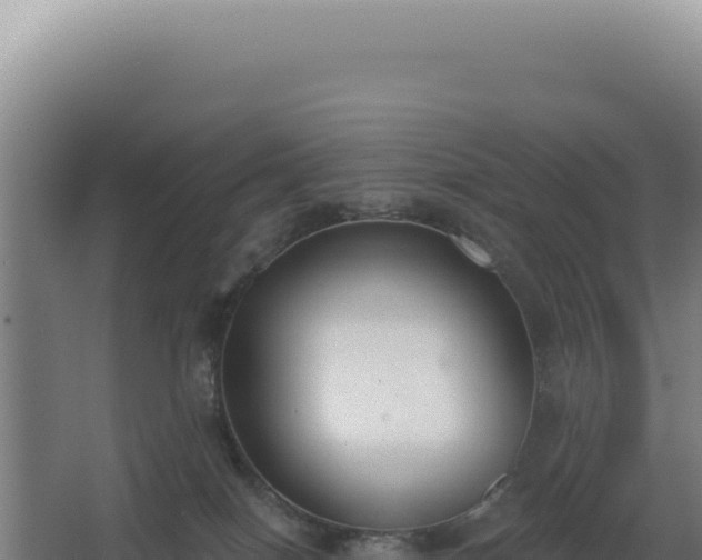 X0000068300086200604281720