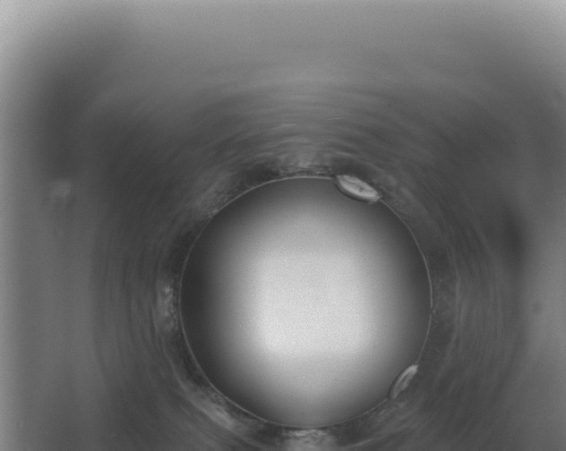 X0000068300087200604281720