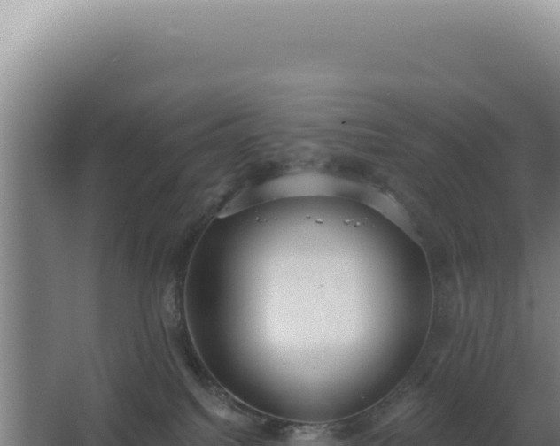 X0000068300088200604281720