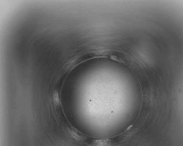 X0000068300089200604281721