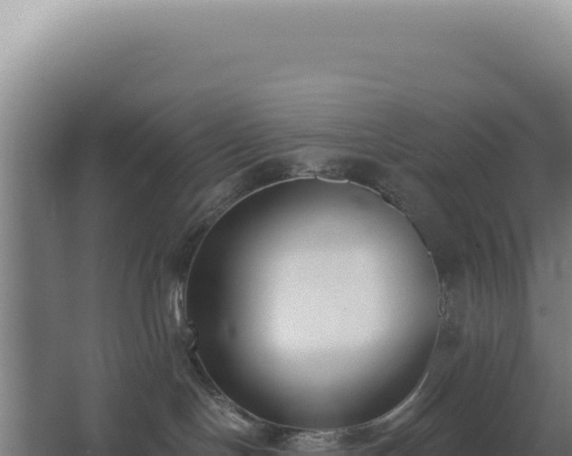 X0000068300094200604281721