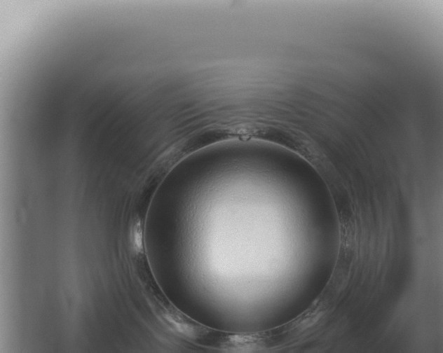 X0000068300095200604281721