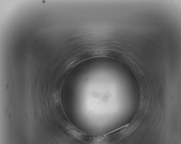 X0000068300096200604281721