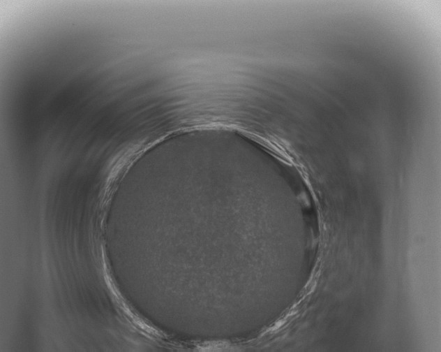 X0000068300097200604281720