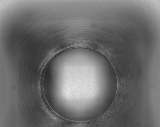 X0000068300098200604281720