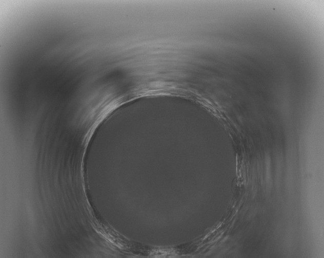 X0000068300099200604281720