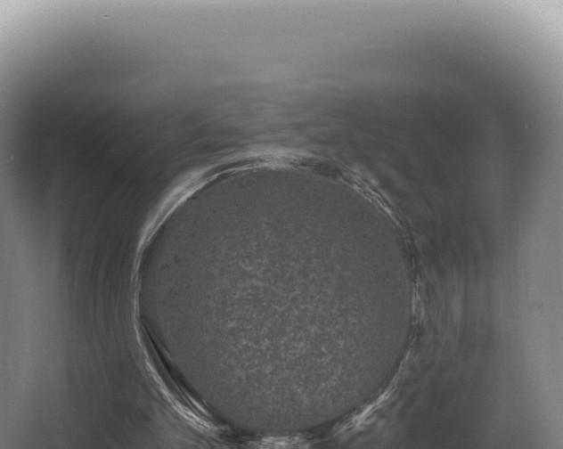 X0000068300101200604281720