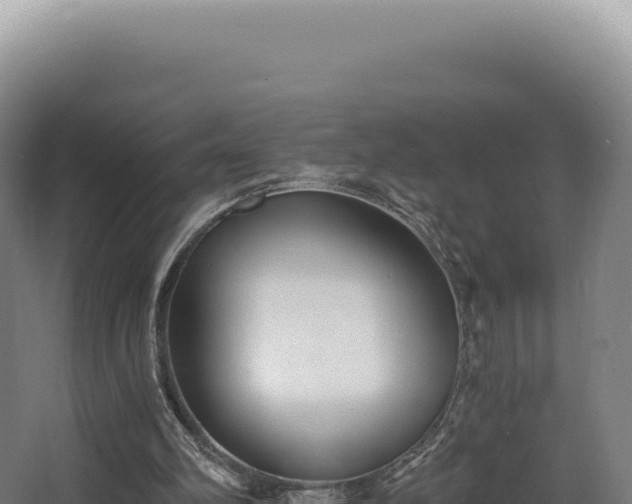 X0000068300102200604281720