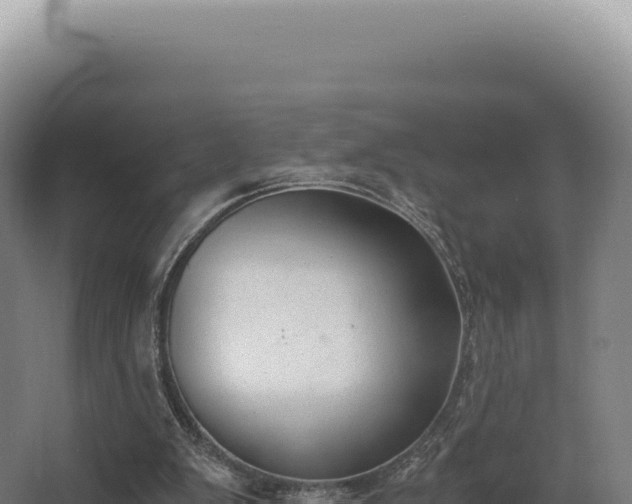 X0000068300103200604281720