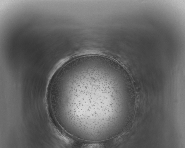 X0000068300104200604281720