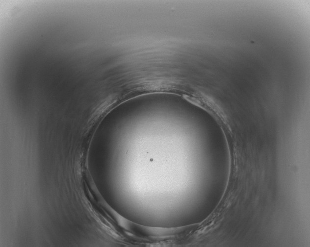 X0000068300105200604281720