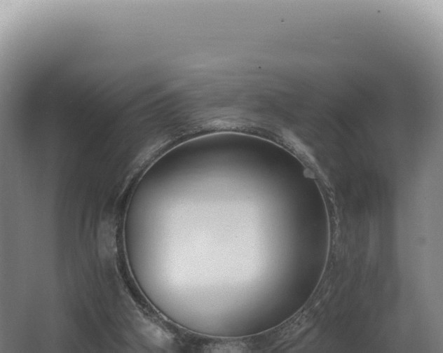 X0000068300106200604281720