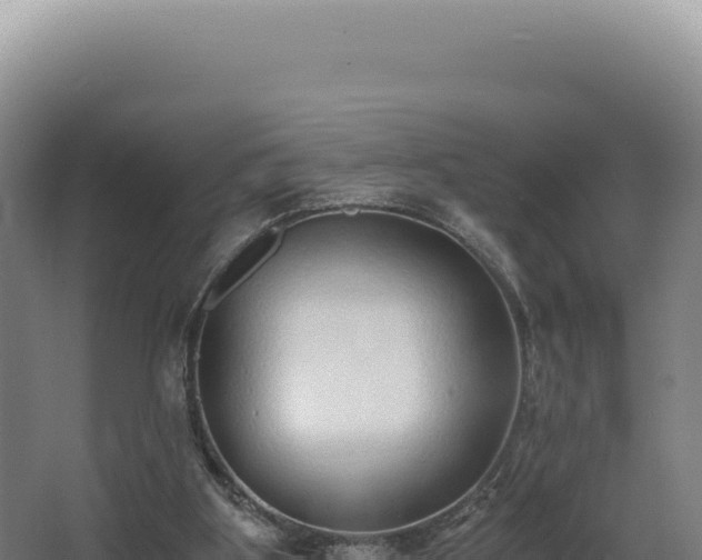 X0000068300107200604281720