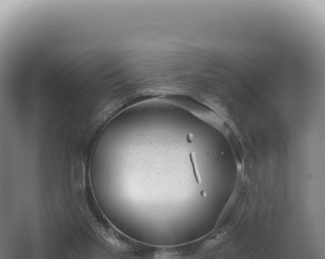 X0000068300109200604281720