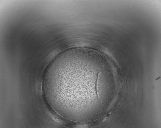 X0000068300110200604281720