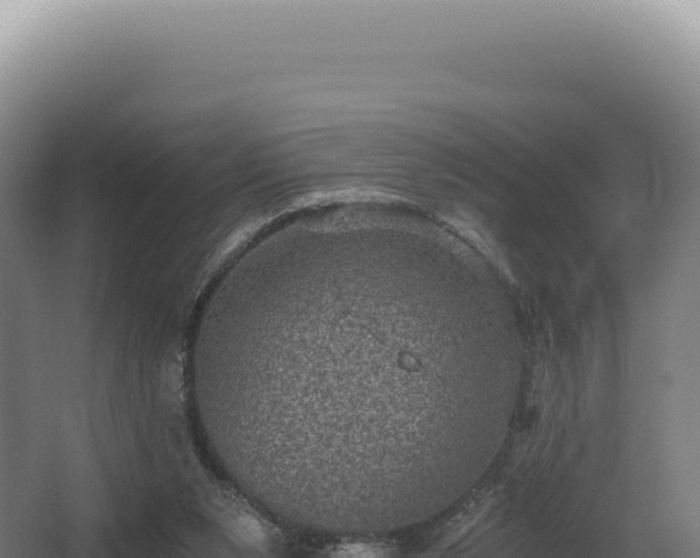 X0000068300111200604281720