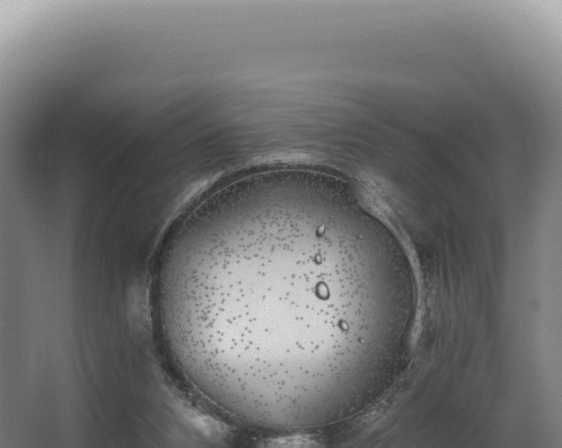 X0000068300112200604281720