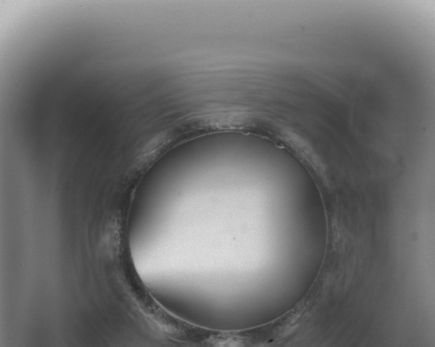 X0000068300113200604281720