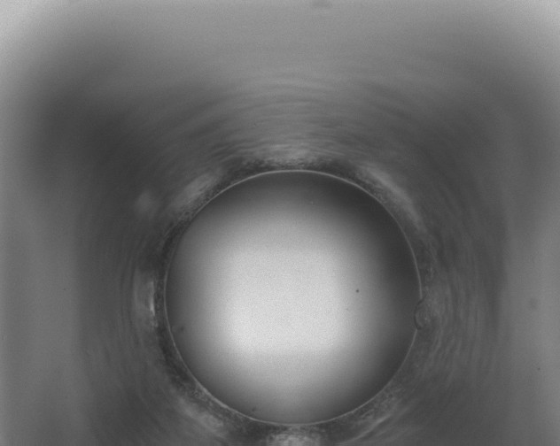 X0000068300115200604281720