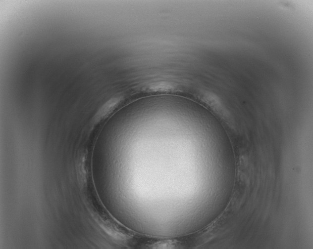 X0000068300116200604281720