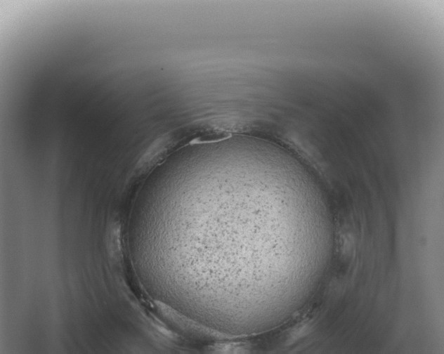 X0000068300117200604281719