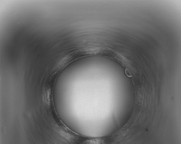 X0000068300118200604281719