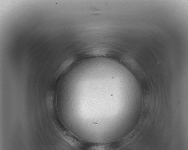 X0000068300120200604281719