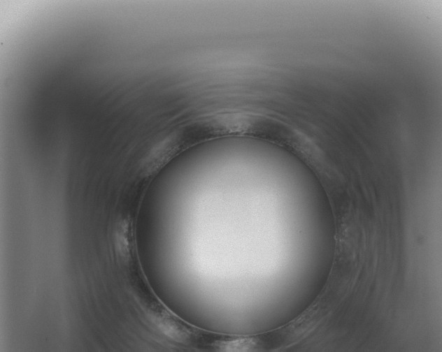 X0000068300122200604281719