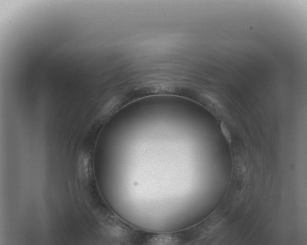 X0000068300123200604281719