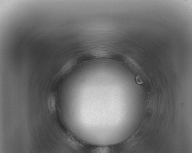 X0000068300124200604281719