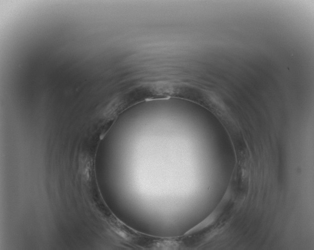 X0000068300125200604281719