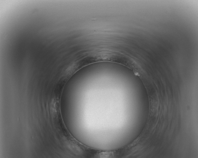 X0000068300126200604281719