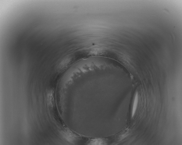 X0000068300127200604281719