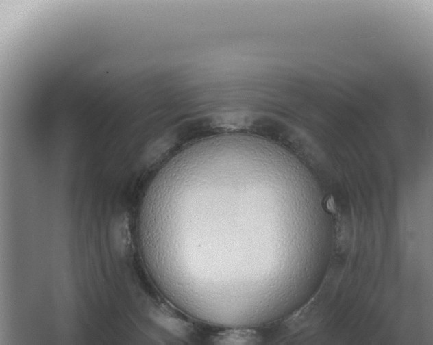 X0000068300128200604281719