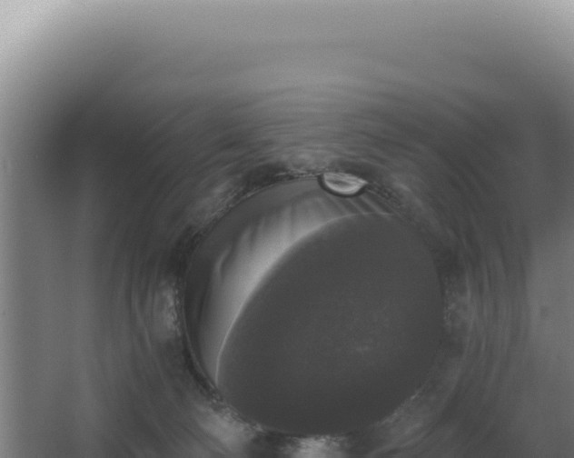 X0000068300130200604281719