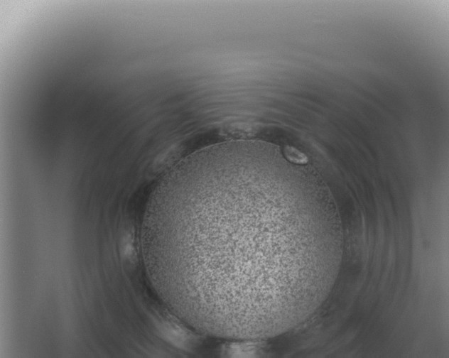 X0000068300134200604281719