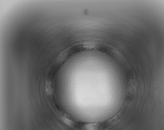 X0000068300136200604281719