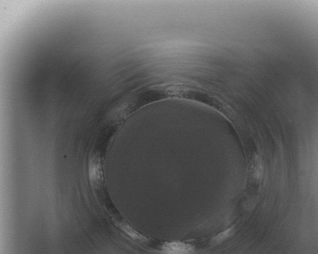 X0000068300137200604281719