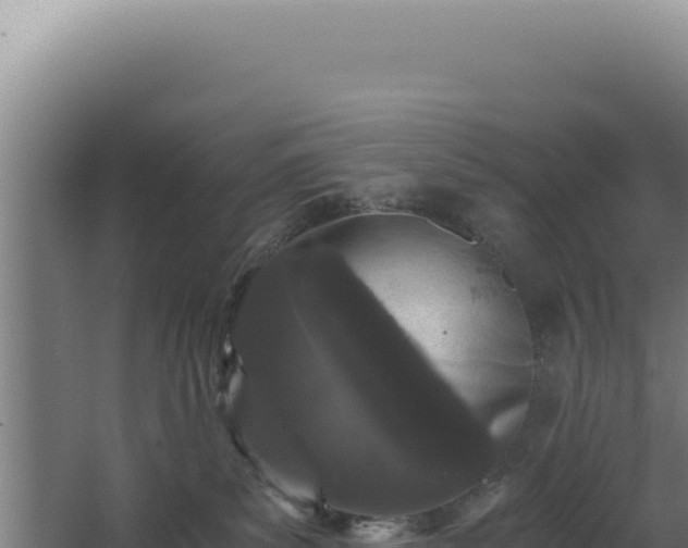 X0000068300139200604281719