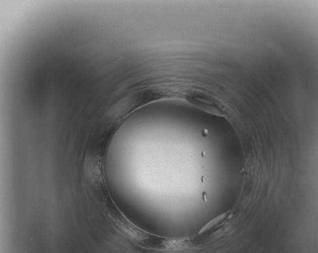 X0000068300141200604281719