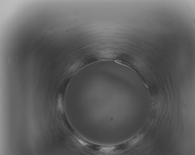 X0000068300143200604281719