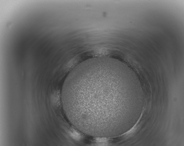 X0000068300144200604281719