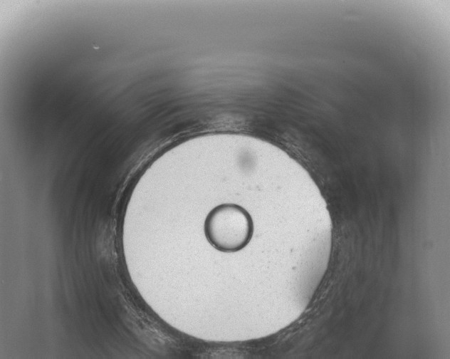 X0000068300146200604281718