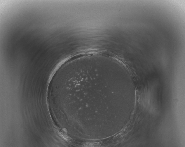 X0000068300147200604281718