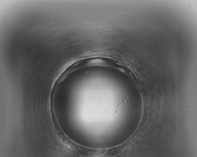 X0000068300148200604281718